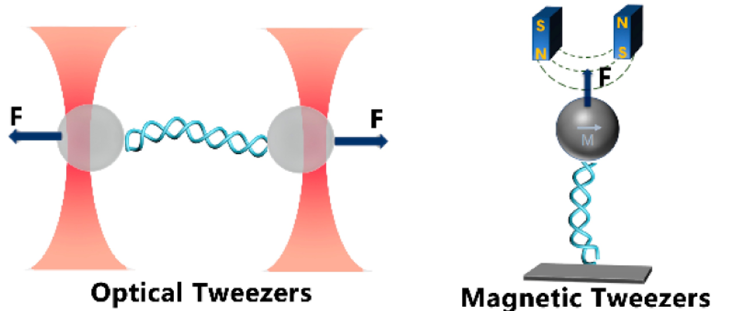 field-driven micromanipulation